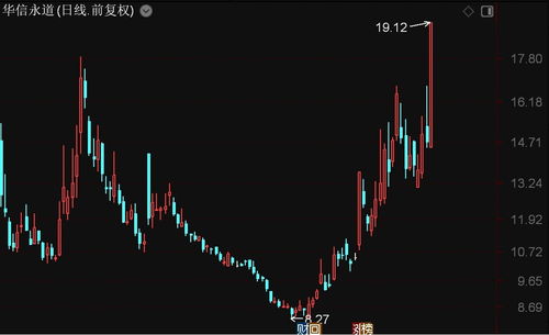 北證50指數強勢上揚，華信永道、聯迪信息領漲，信息系統集成服務板塊表現亮眼